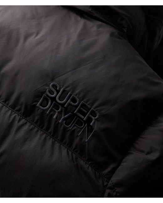 Superdry Black & Co