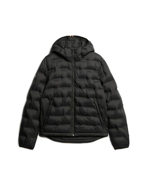 Superdry Black & Co Hooded Quilted Puffer Coat for men