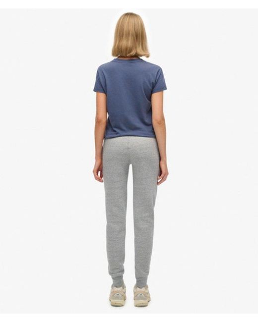 Superdry Blue & Co Premium Script Entry joggers