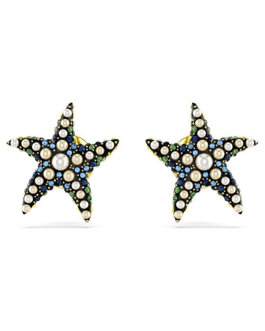 Swarovski Black Idyllia ohrstecker, seestern, klein