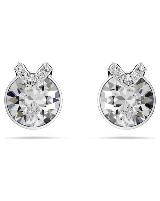 Swarovski Metallic Bella Stud Earrings