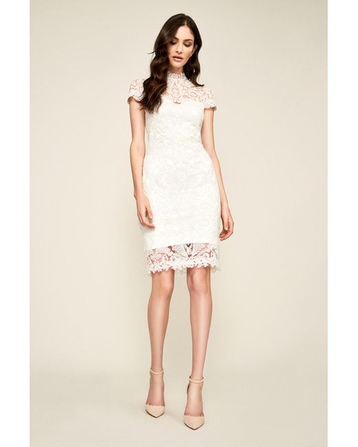 tadashi shoji white dress