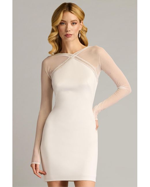 Tadashi Shoji Natural Savoy Sheer Sleeve Mini Dress