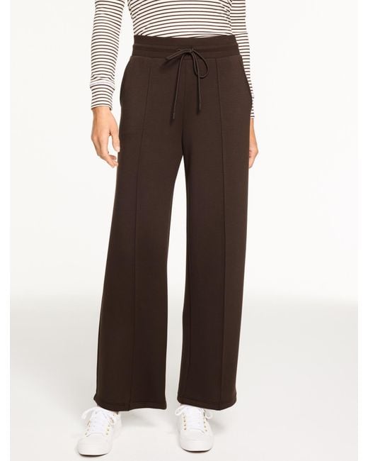 Talbots Brown Plus Petite