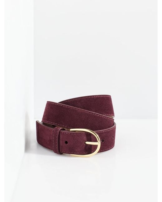 Talbots Purple Suede Belt