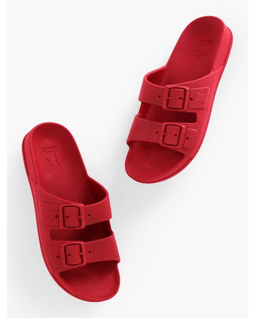 CACATOES Red ® Rio De Janeiro Slides