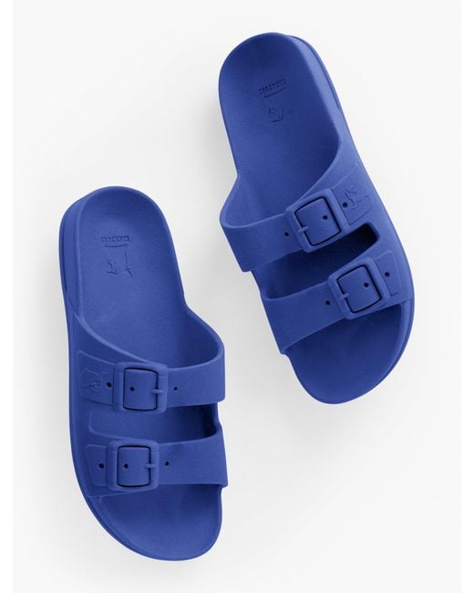 CACATOES Blue ® Rio De Janeiro Slides