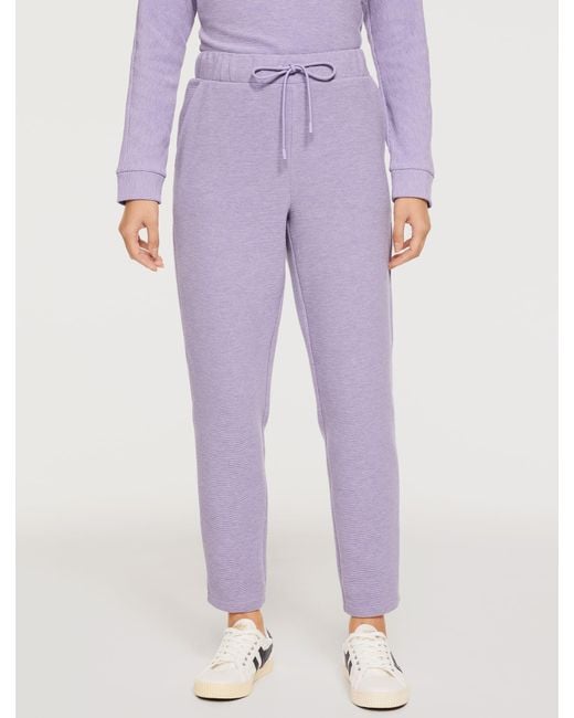 Talbots Purple Ottoman Rib Taper Leg Pants