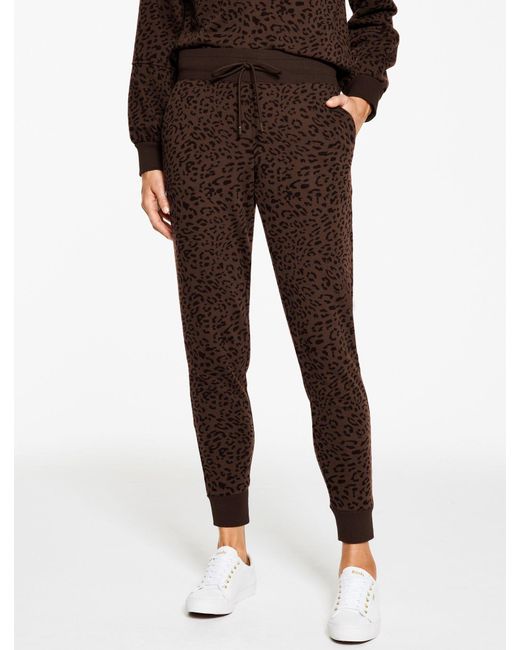 Talbots Brown Cozy French Terry Jogger Pants