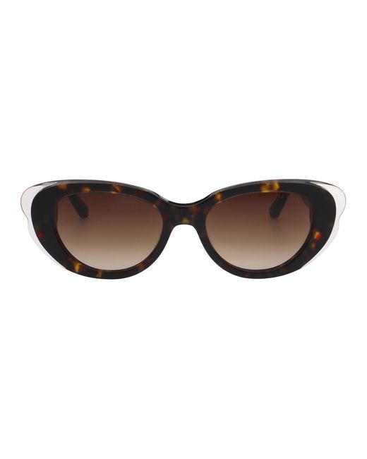 Ted Baker Brown Brontetcp Oval Butterfly Frame Sunglasses
