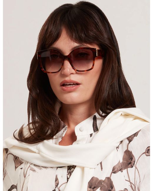 Ted Baker Brown Linia