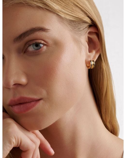 Ted Baker Brown Rolob Enamel Huggie Hoop Earrings