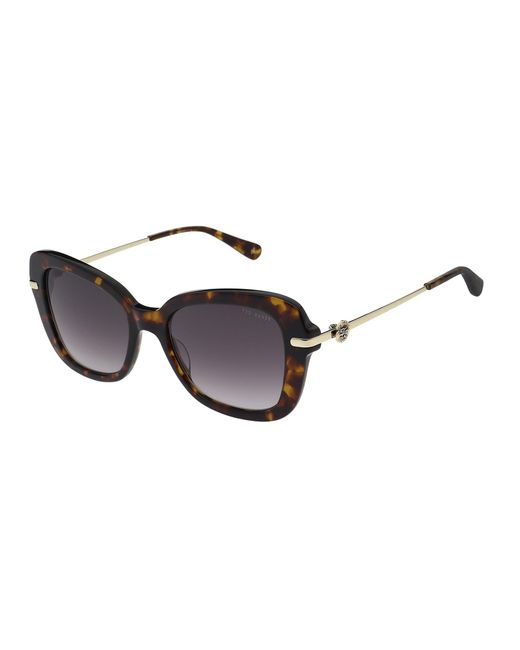 Ted Baker Multicolor Gabriellact Oversized Butterfly Frame Sunglasses