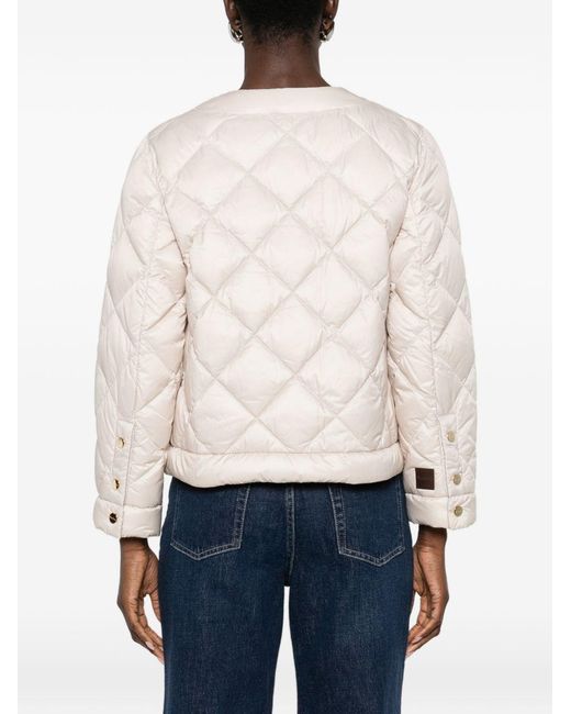 Max Mara Natural Padded Blouson Jacket