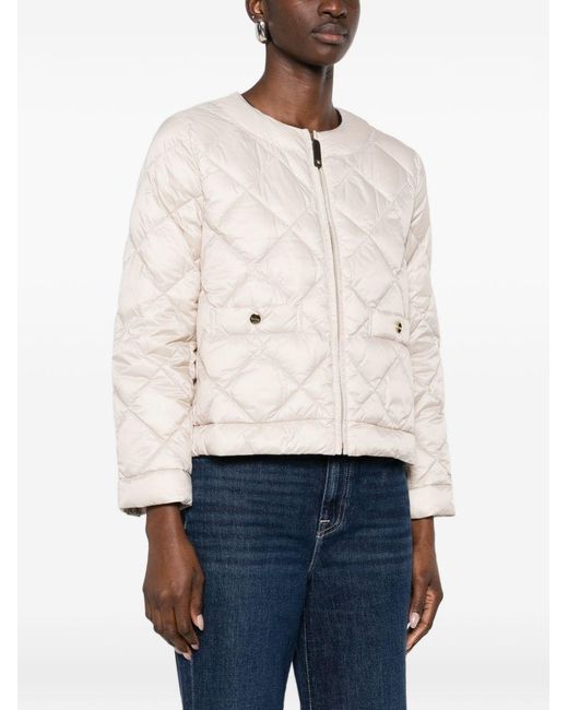 Max Mara Natural Padded Blouson Jacket