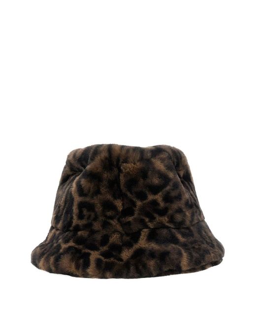 Apparis Black Amara Leopard Bucket Hat