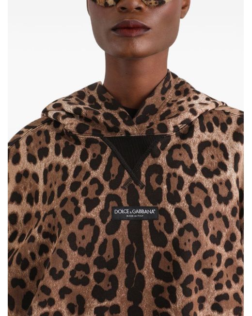 Dolce & Gabbana Brown Leo Print Cotton Hoodie