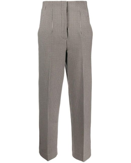 Pantalone In Cotone A Vita Alta di Circolo 1901 in Gray