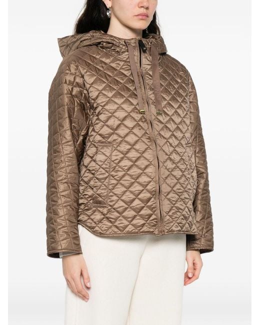 Max Mara Natural Padded Blouson Jacket