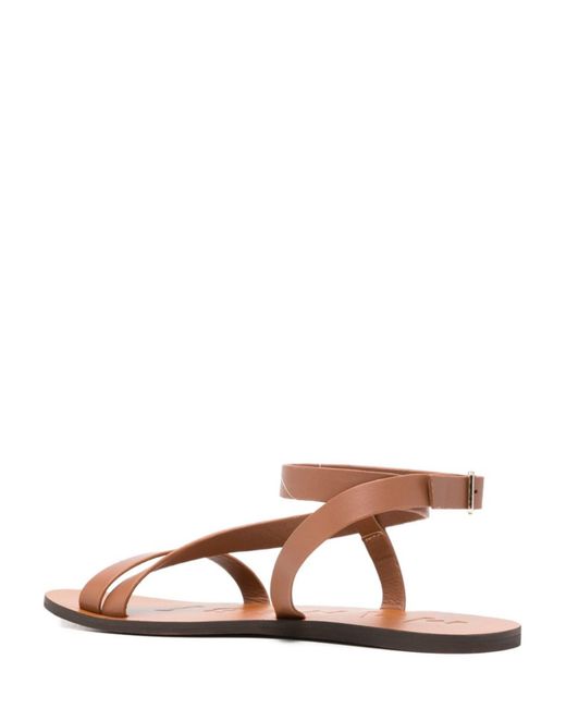 Manebí Brown Cayon Sandal