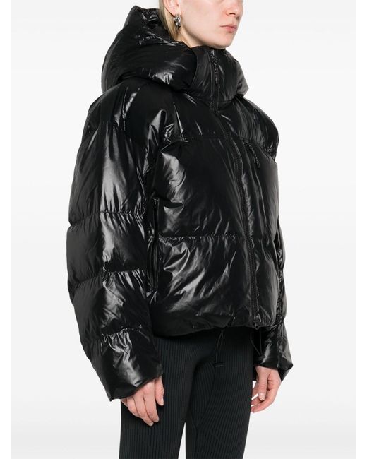 Adidas By Stella McCartney Black Puffer Down Jacket