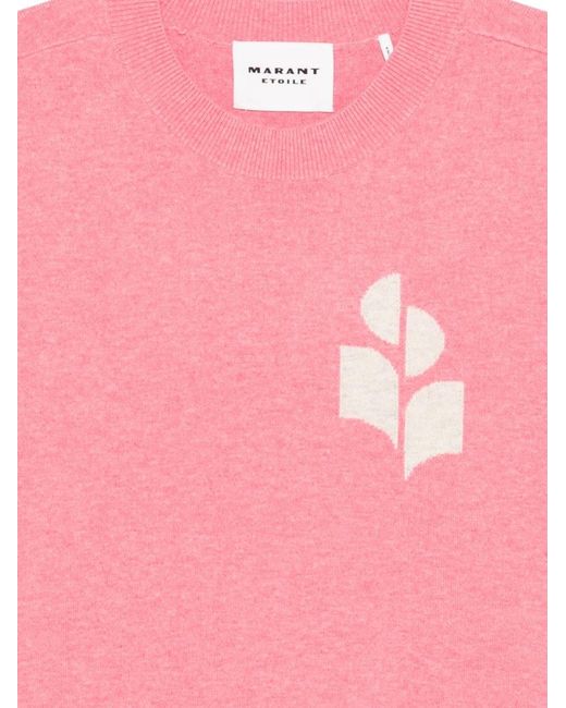 Isabel Marant Pink Marisans Cotton And Wool Sweater