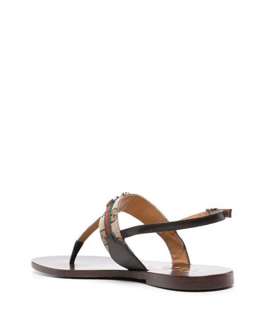 Gucci Multicolor Gg And Web Motif Thong Sandals