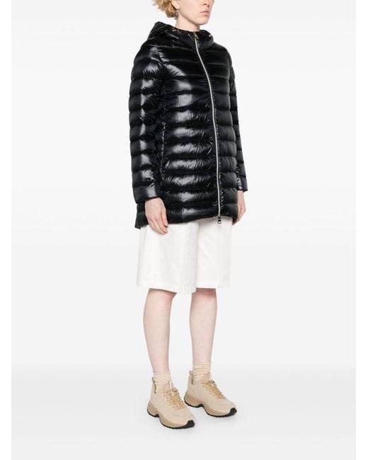 Herno Black Coats