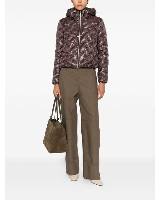 Herno Brown Quilted Short Down Jacket