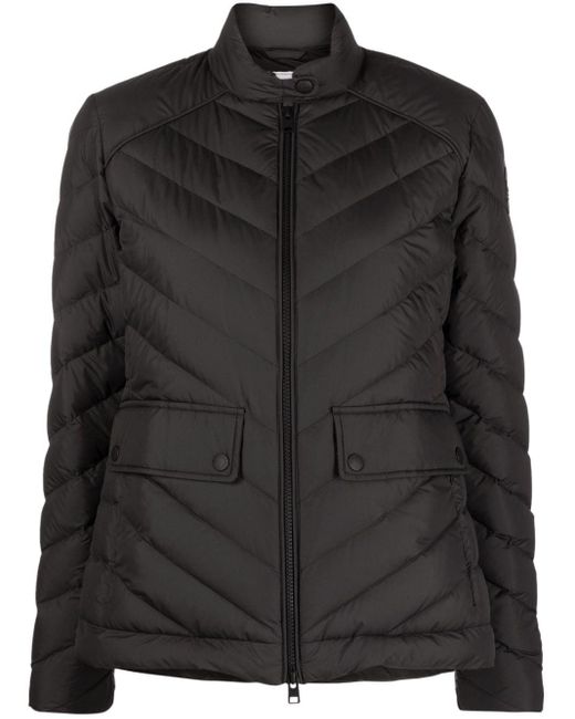 Woolrich Black Zip-fastening Padded Jacket