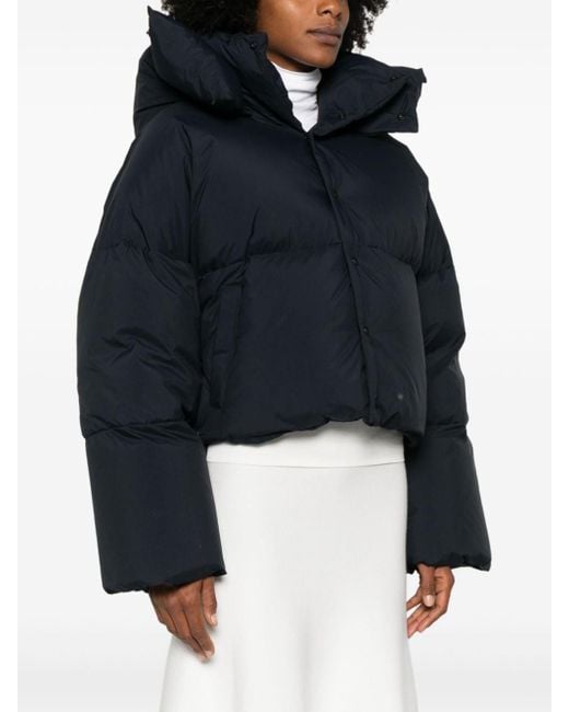 Alaïa Blue Nylon Short Padded Jacket