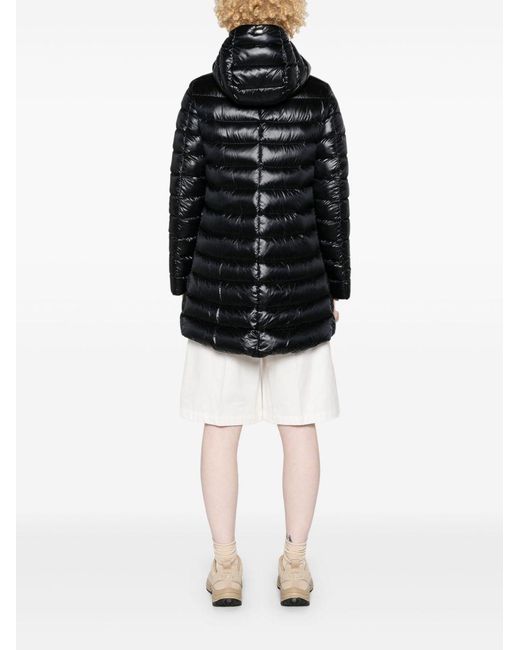 Herno Black Coats