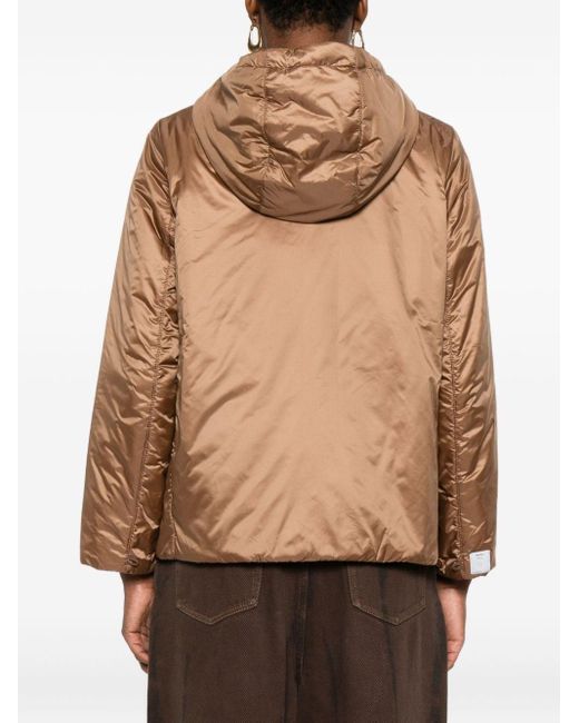 Max Mara Brown Nylon Jacket