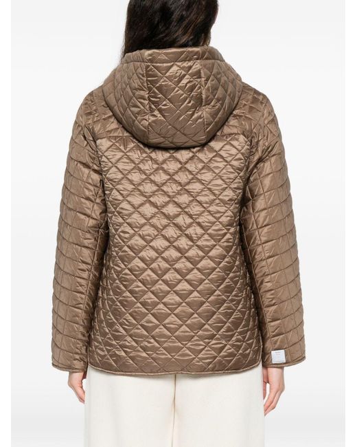 Max Mara Natural Padded Blouson Jacket
