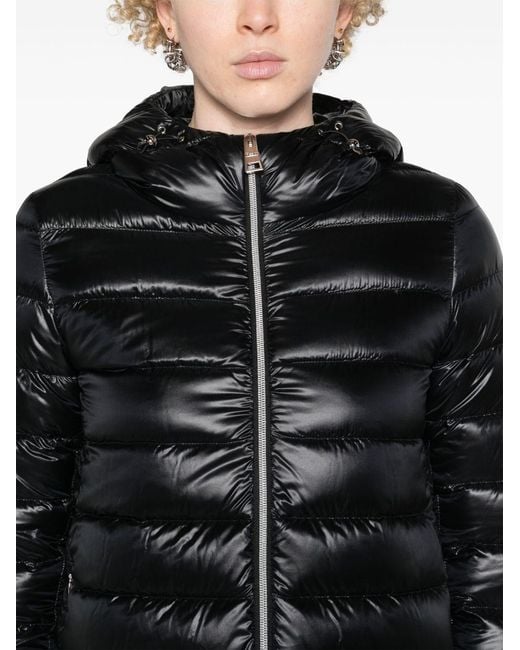 Herno Black Coats