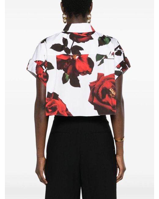 Alexander McQueen Red Rose-print Cotton Cropped Shirt