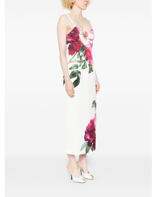 Alice + Olivia Pink Printed Long Dress