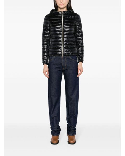 Piumino Corto In Nylon di Herno in Black
