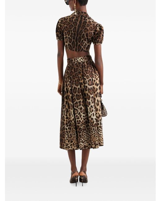 Dolce & Gabbana Brown Leo Print Cotton Shirt