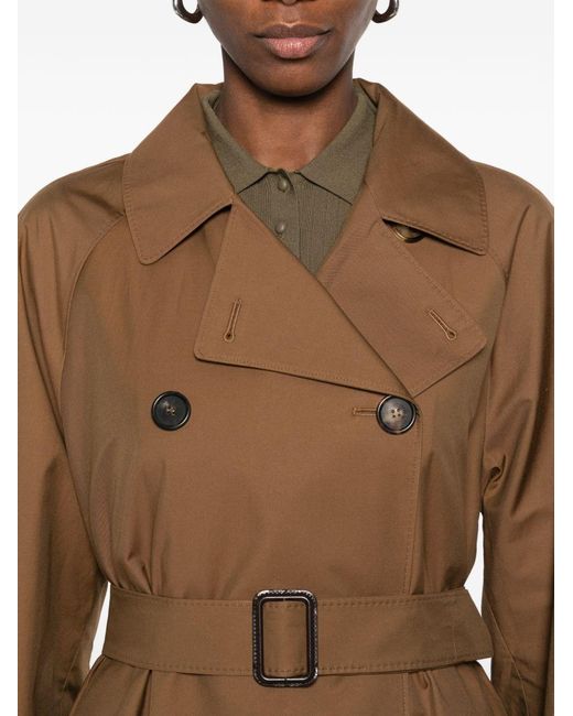 Max Mara Brown Cotton Blend Trench Coat