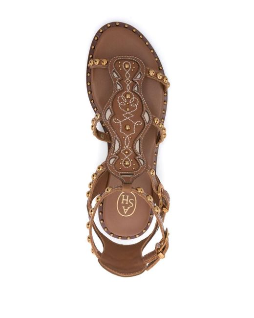 Ash Brown Plaza Leather Sandals