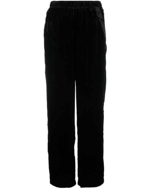 Gold Hawk Black Velvet Wide-Leg Trousers