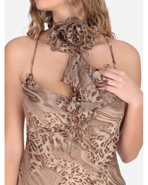 Blugirl Blumarine Natural Animal Print Dress