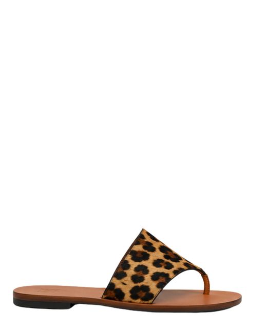 Manebí Brown Suede Espadrilles