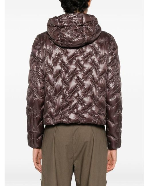 Herno Brown Quilted Short Down Jacket