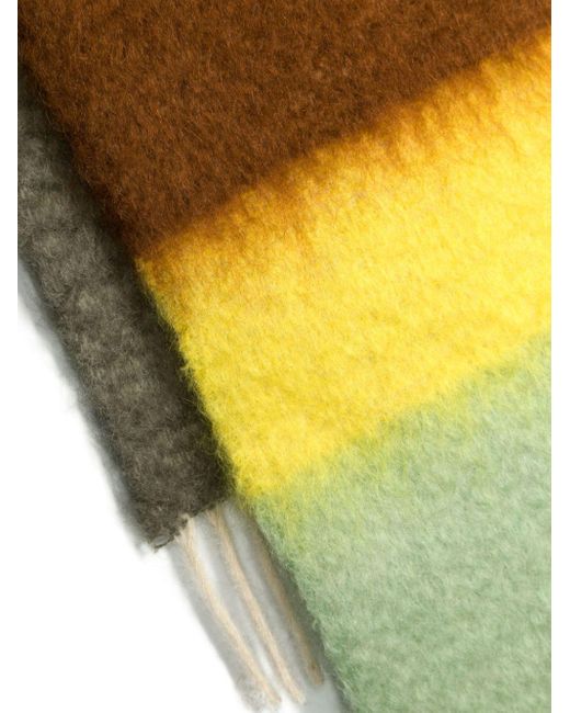 Sciarpa In Mohair E Lana A Righe di Loewe in Multicolor