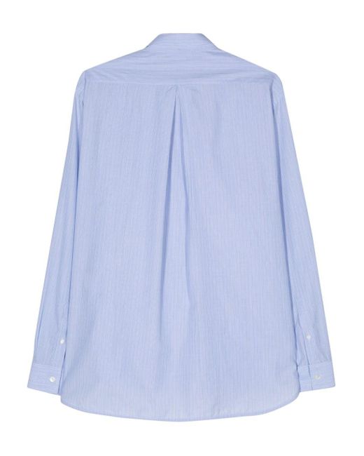 sunflower Blue Striped Cotton Poplin Shirt for men