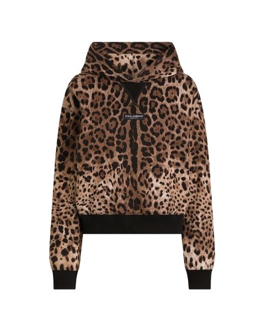 Dolce & Gabbana Brown Leo Print Cotton Hoodie