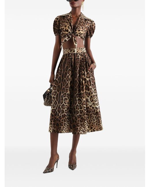 Dolce & Gabbana Brown Leo Print Cotton Shirt