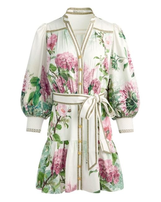 Alice + Olivia Multicolor Cora Cotton Mini Dress